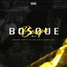 Album cover of Bosque