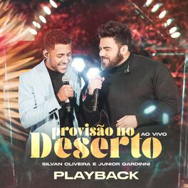 Album cover of Provisão no Deserto (Playback)