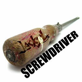 Album cover of Screwdriver