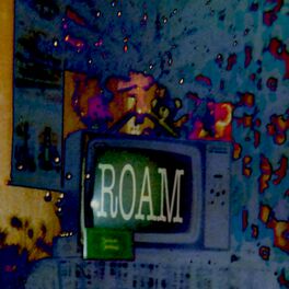 Album cover of ROAM