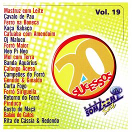 Album cover of 20 Sucessos SomZoom Sat, Vol. 19