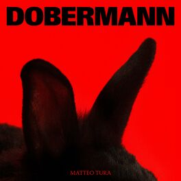 Album cover of DOBERMANN