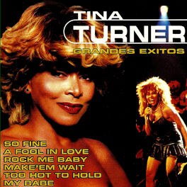 Album cover of Tina Turner Greatest Hits