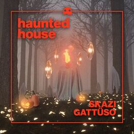 Album cover of Haunted House