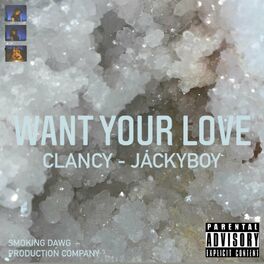 Album cover of WANT YOUR LOVE (feat. Clancy)