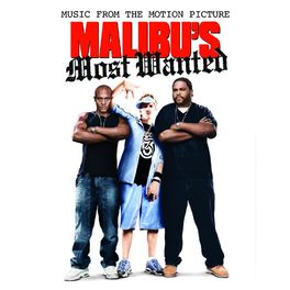 Album cover of Malibu's Most Wanted