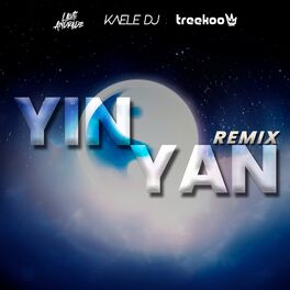 Album cover of Yin Yan (Remix)