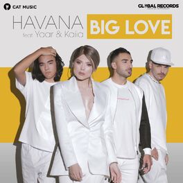 Album cover of Big Love