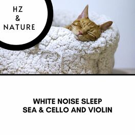 Album cover of White Noise Sleep, Sea & Cello and Violin