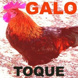 Album cover of Toque Galo