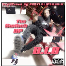 Album cover of The Switch Up