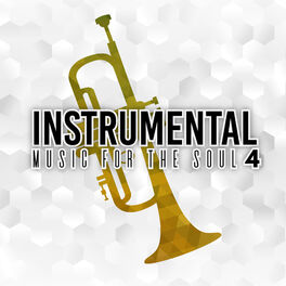 Album cover of Instrumental Music for the Soul-4