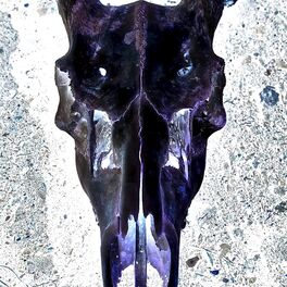 Album cover of Cannibal Stalker