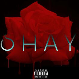 Album cover of Shay
