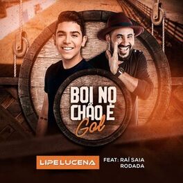 Album picture of Boi no Chão É Gol