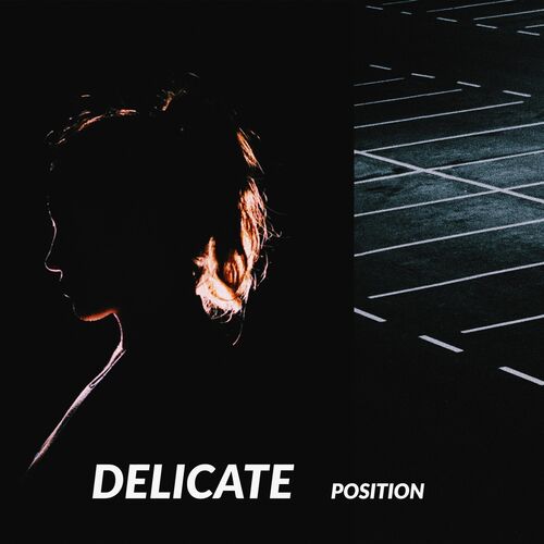 emily-vay-delicate-position-songtexte-und-songs-deezer