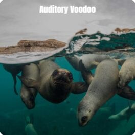 Album cover of Auditory Voodoo