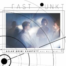 Album cover of Fast punkt