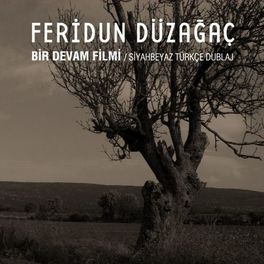 Album cover of Bir Devam Filmi (Siyah Beyaz Türkçe Dublaj)
