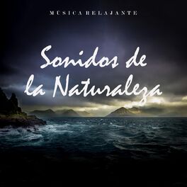 Album cover of Música Relajante: Sonidos de la Naturaleza