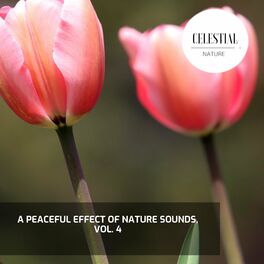 Album cover of A Peaceful Effect of Nature Sounds, Vol. 4