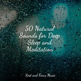 Album cover of 50 Natural Sounds for Deep Sleep and Meditation