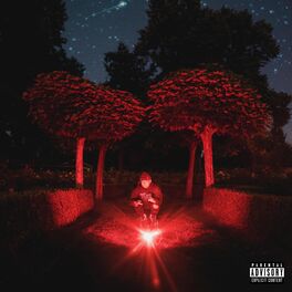 Album cover of Srry I Was Under the Sky