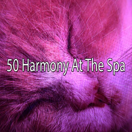 Album cover of 50 Harmony at the Spa