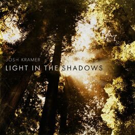 Album cover of Light in the Shadows