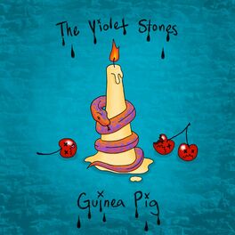Album cover of Guinea Pig