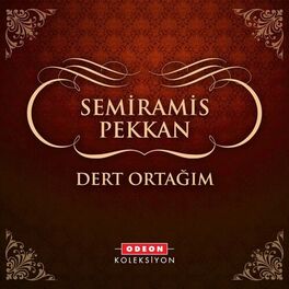Album cover of Dert Ortağım