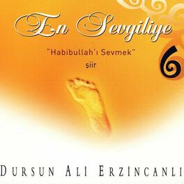 Album cover of En Sevgiliye 6
