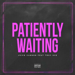Album cover of Patiently Waiting (feat. Troy Ave)