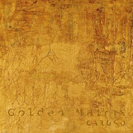 Album cover of Golden Matrix