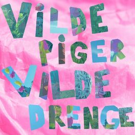Album cover of Vilde Piger Vilde Drenge