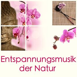 Album cover of Entspannungsmusik der Natur: Wasser Sound zum Entspannen, für Wellness, Meditation, Yoga, Massage