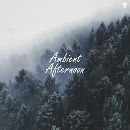 Album cover of Ambient Afternoon
