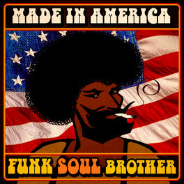Album cover of Made in America - Funk Soul Brother!