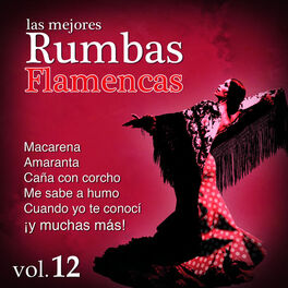 Album cover of Las Mejores Rumbas Volumen 12