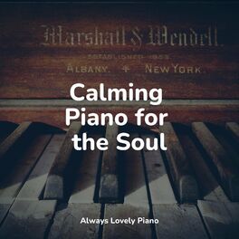 Album cover of Calming Piano for the Soul