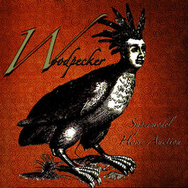 Album cover of Supermodel Horse Auction