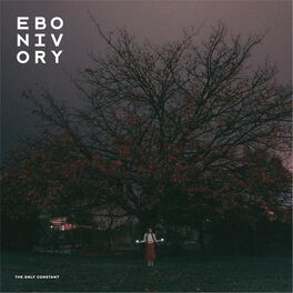 Album cover of The Only Constant
