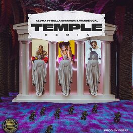 Album cover of TEMPLE (Remix)