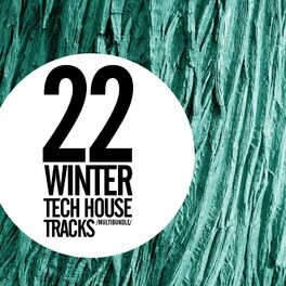 Album cover of 22 Winter Tech House Tracks