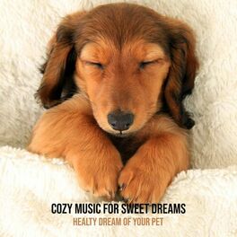 Dream Sweet Dreams: albums, songs, playlists