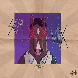 Album cover of Sem Vibe