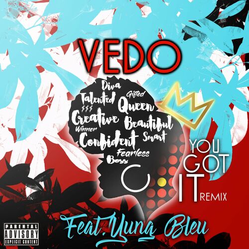 VEDO - You Got It (Lyrics)  it's time to boss up fix your credit