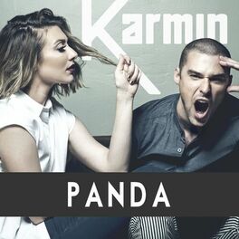 Album cover of Panda - Single