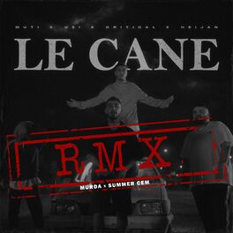 Album cover of LE CANE (RMX)