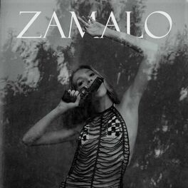 Album cover of Zamalo
